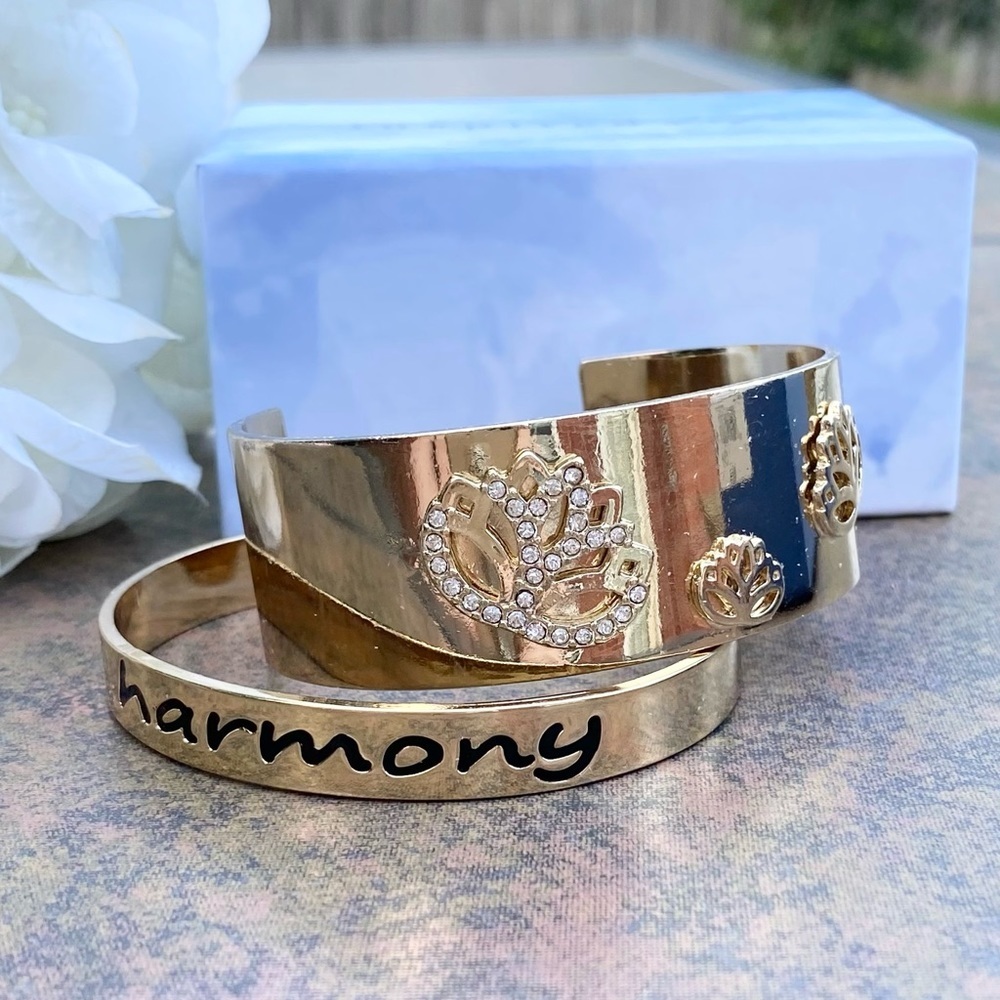 NWT NIB INSPIRED LIFE “HARMONY” TWO PIECE CUFF SET - Picture 3 of 6